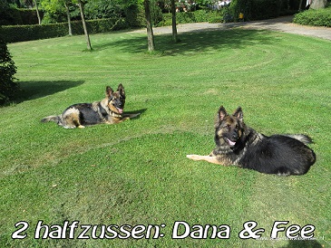 Beide halfzusjes, Dana en Fee in het park